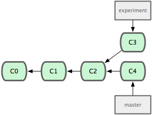 Branch Step 4