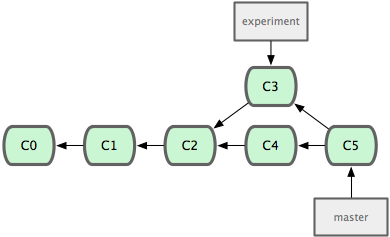 Branch Step 5